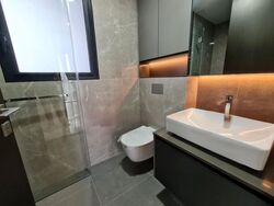 Irwell Hill Residences (D9), Apartment #477515851